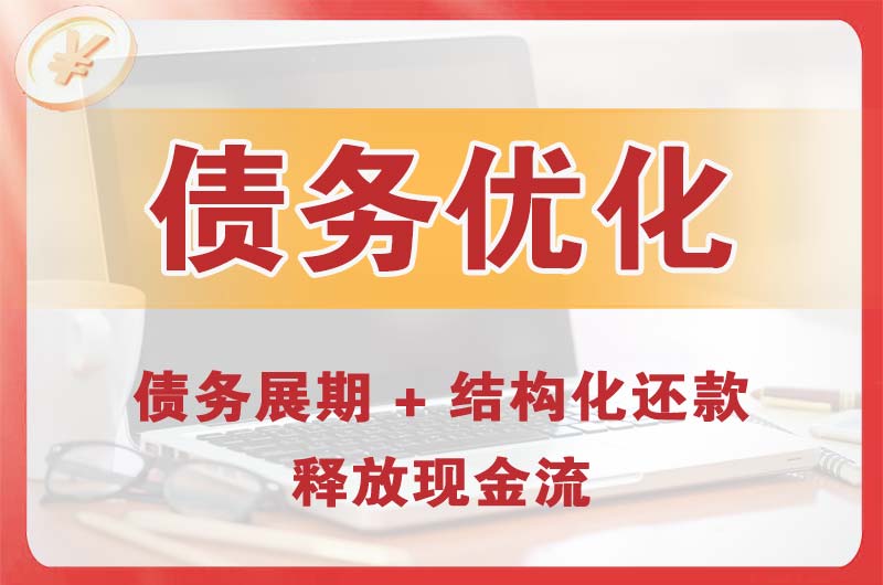 镇雄债务优化
