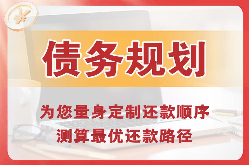 镇雄债务规划